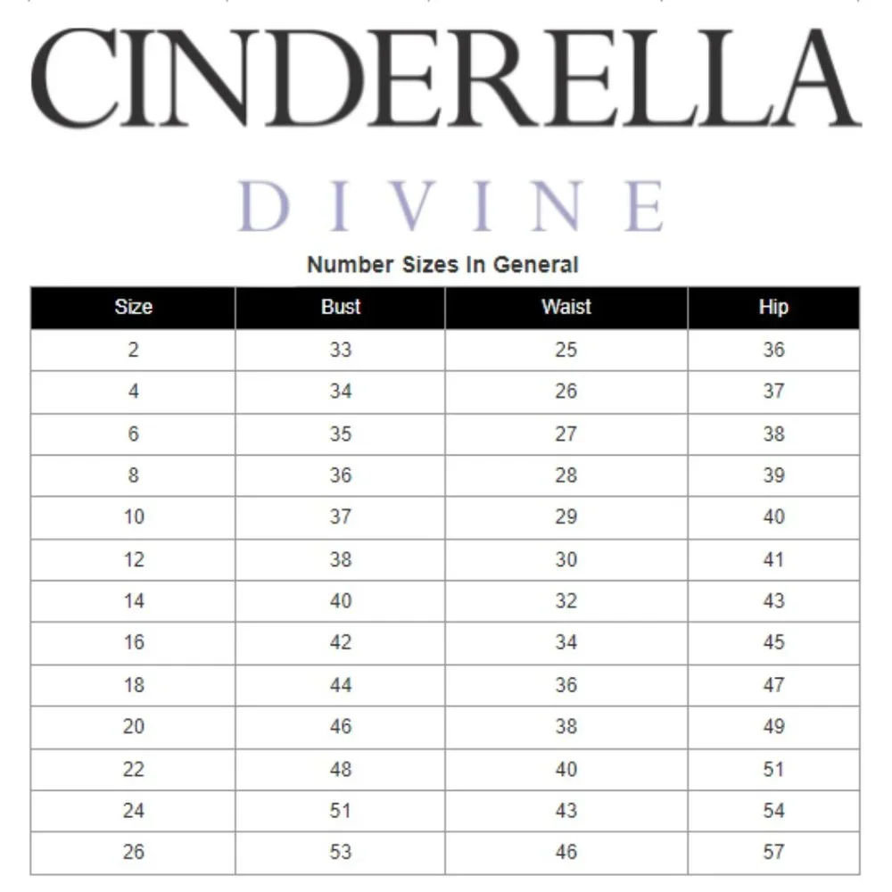 Ladivine 7469 Bridesmade Dress Sienna Size 14_6